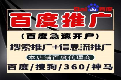 揭秘SEM竞价成功案例，助你提升ROI